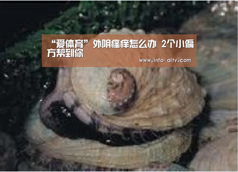 爱体育